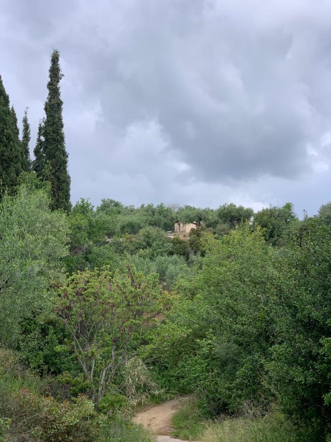 Villa Delfini Chrani Eksteriør billede